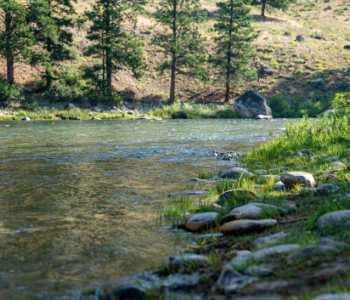 Idaho rafting trip photos