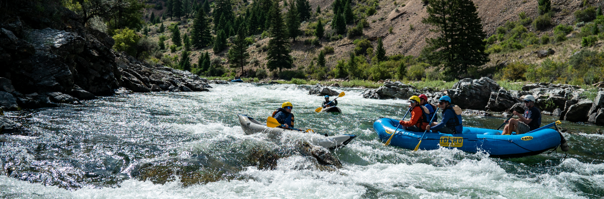 Salmon River rafting trips